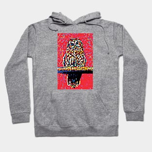 Toot Sweet On Red - Image Of An Owl On A Perch Hoodie